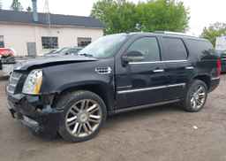 2010 CADILLAC ESCALADE