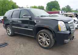 2010 CADILLAC ESCALADE