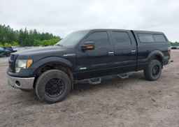 2013 FORD F-150 XLT