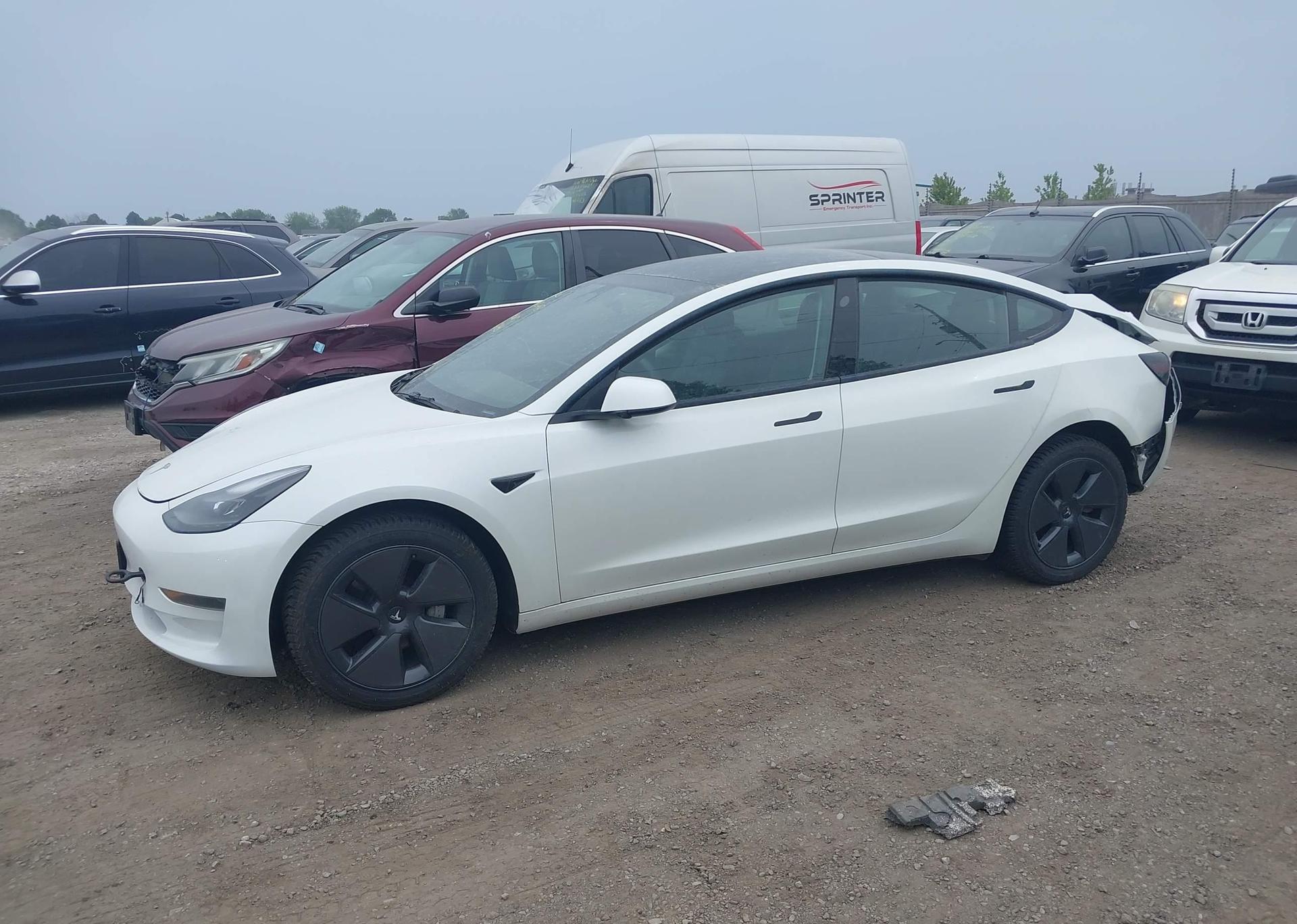 2023 TESLA MODEL 3 RWD
