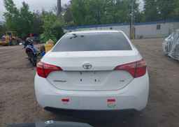 2019 TOYOTA COROLLA LE