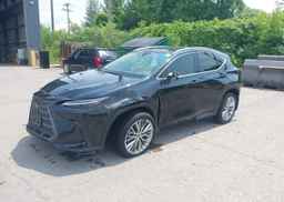 2024 LEXUS NX 350H