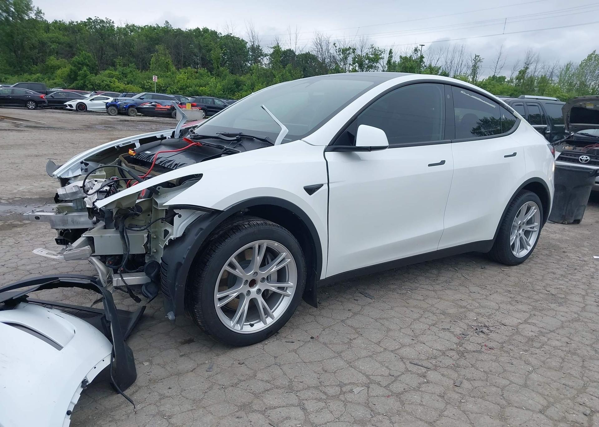 2023 TESLA MODEL Y RWD