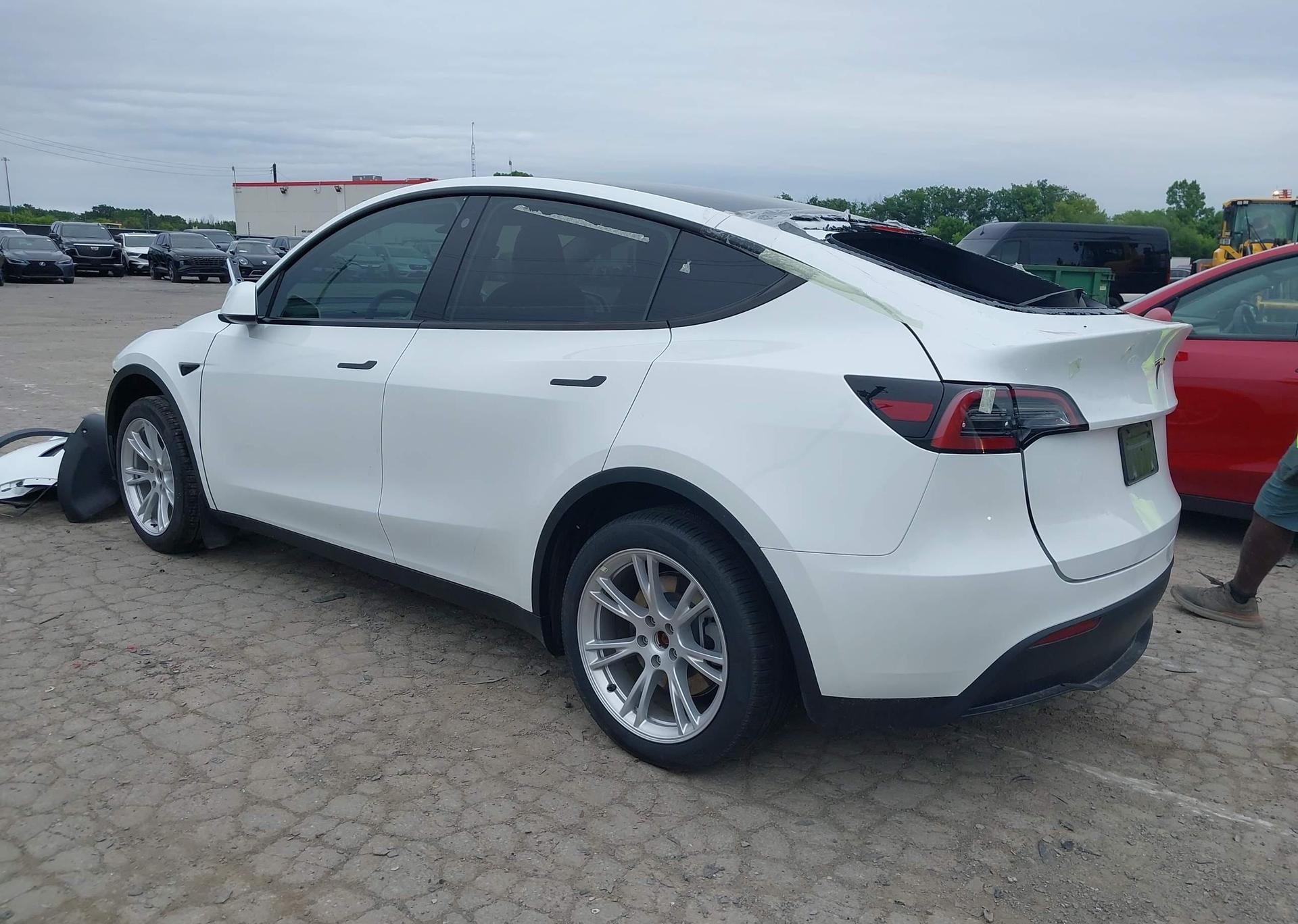 2023 TESLA MODEL Y RWD