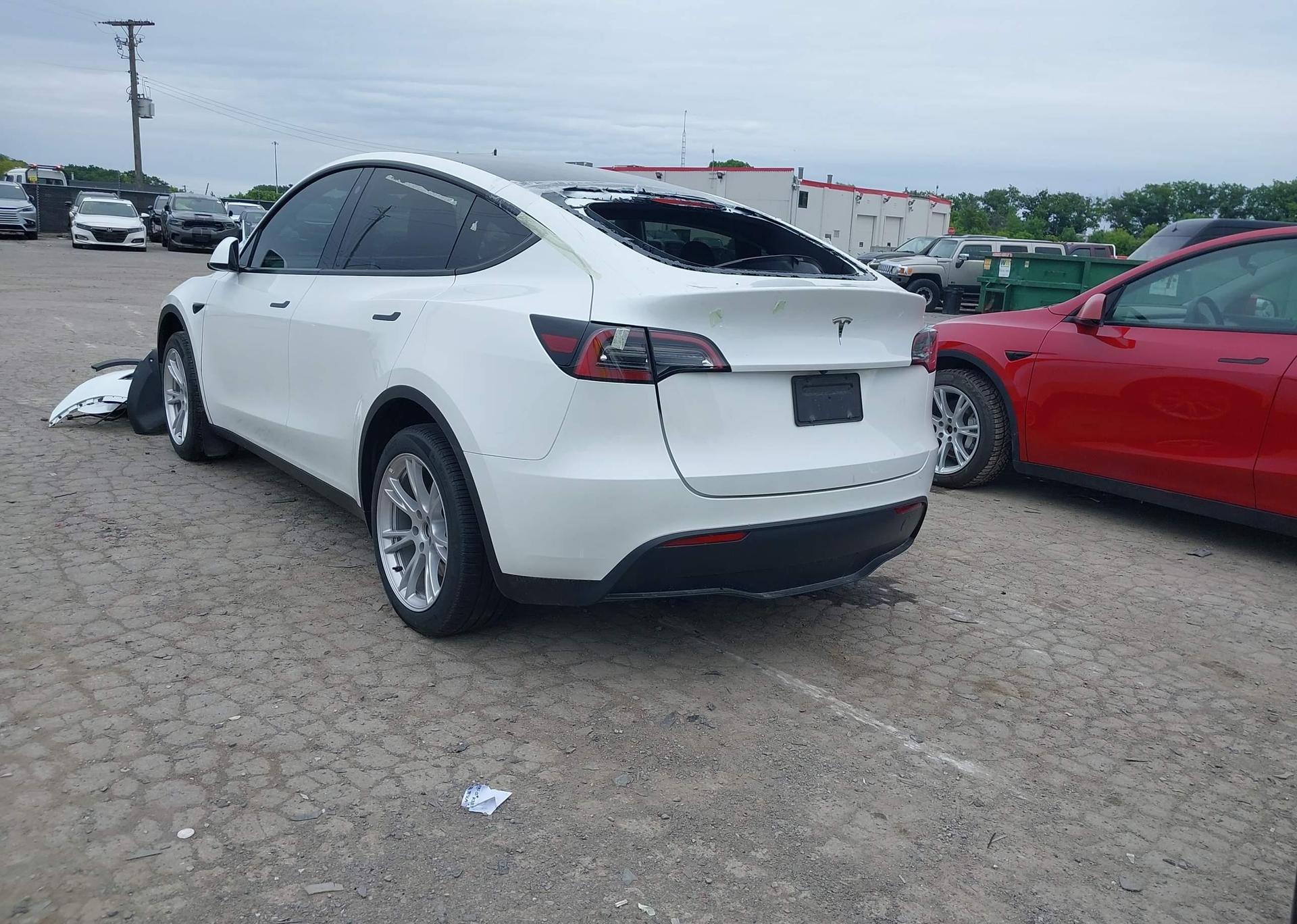 2023 TESLA MODEL Y RWD