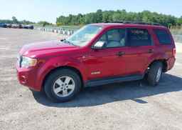 2008 FORD ESCAPE XLT