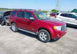 2008 FORD ESCAPE XLT