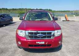 2008 FORD ESCAPE XLT