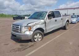 2010 FORD F-150 FX4