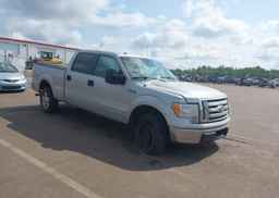 2010 FORD F-150 FX4