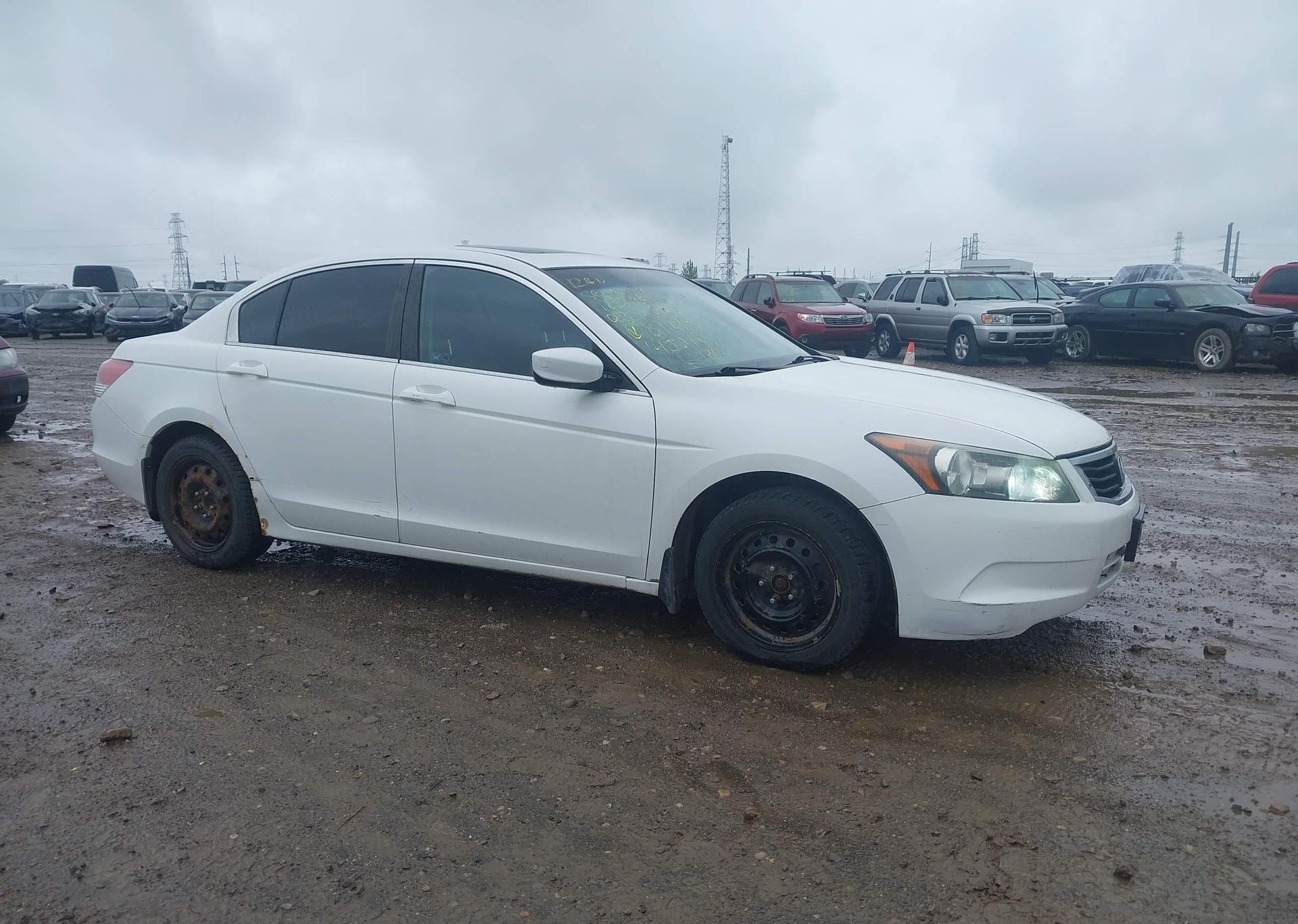 2008 HONDA ACCORD EX-L