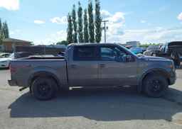 2014 FORD F-150 FX4