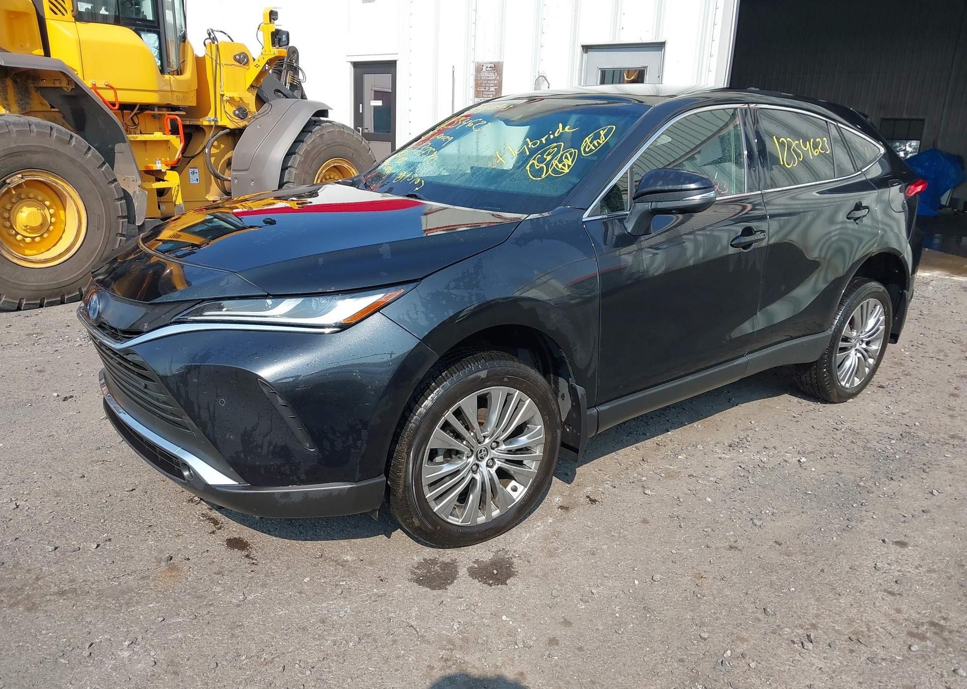 2023 TOYOTA VENZA LE