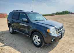 2009 FORD ESCAPE XLT