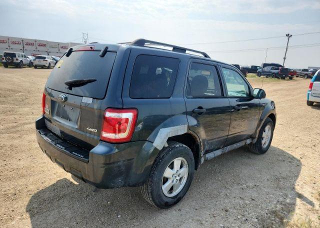 2009 FORD ESCAPE XLT