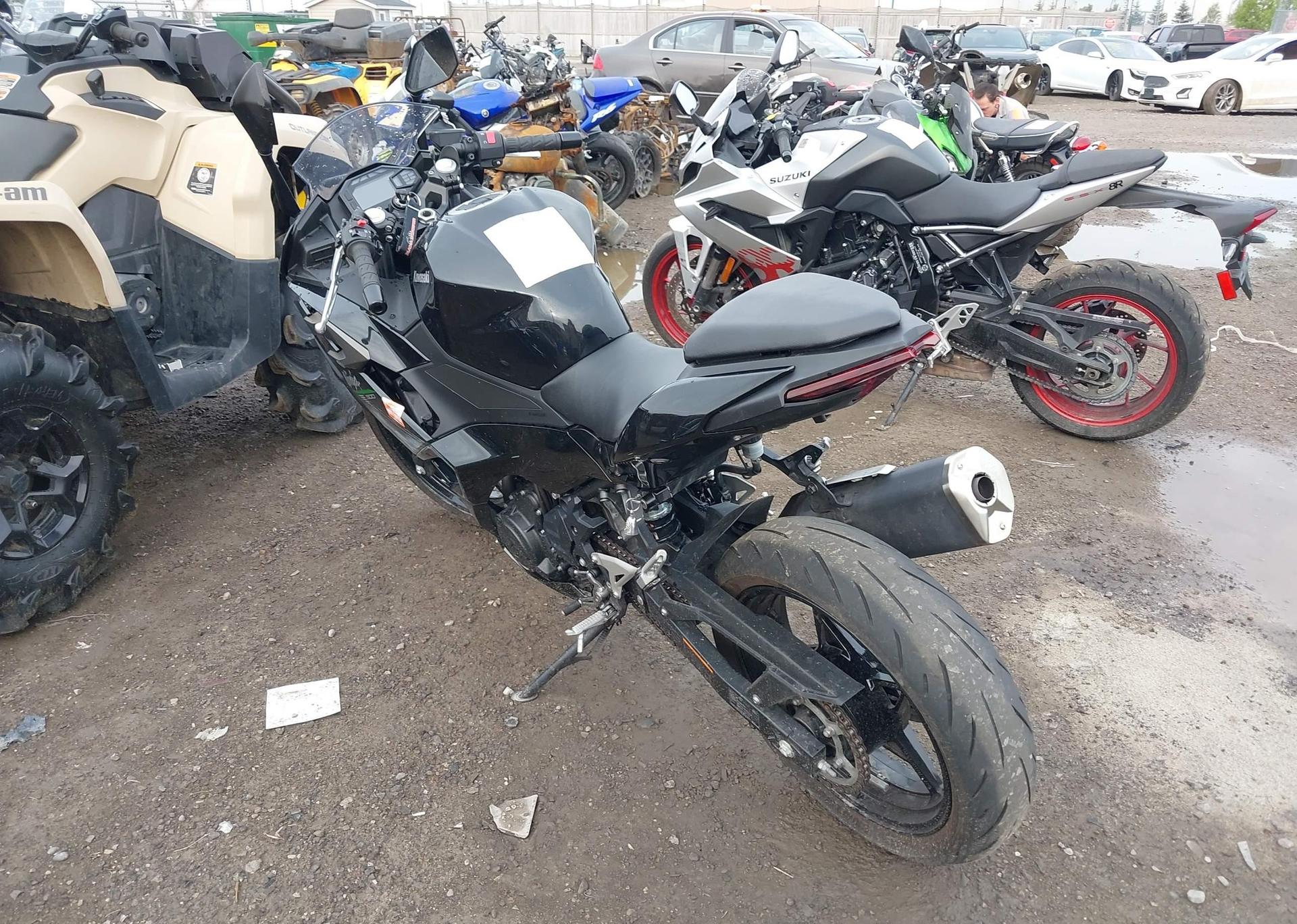 2024 KAWASAKI EX500