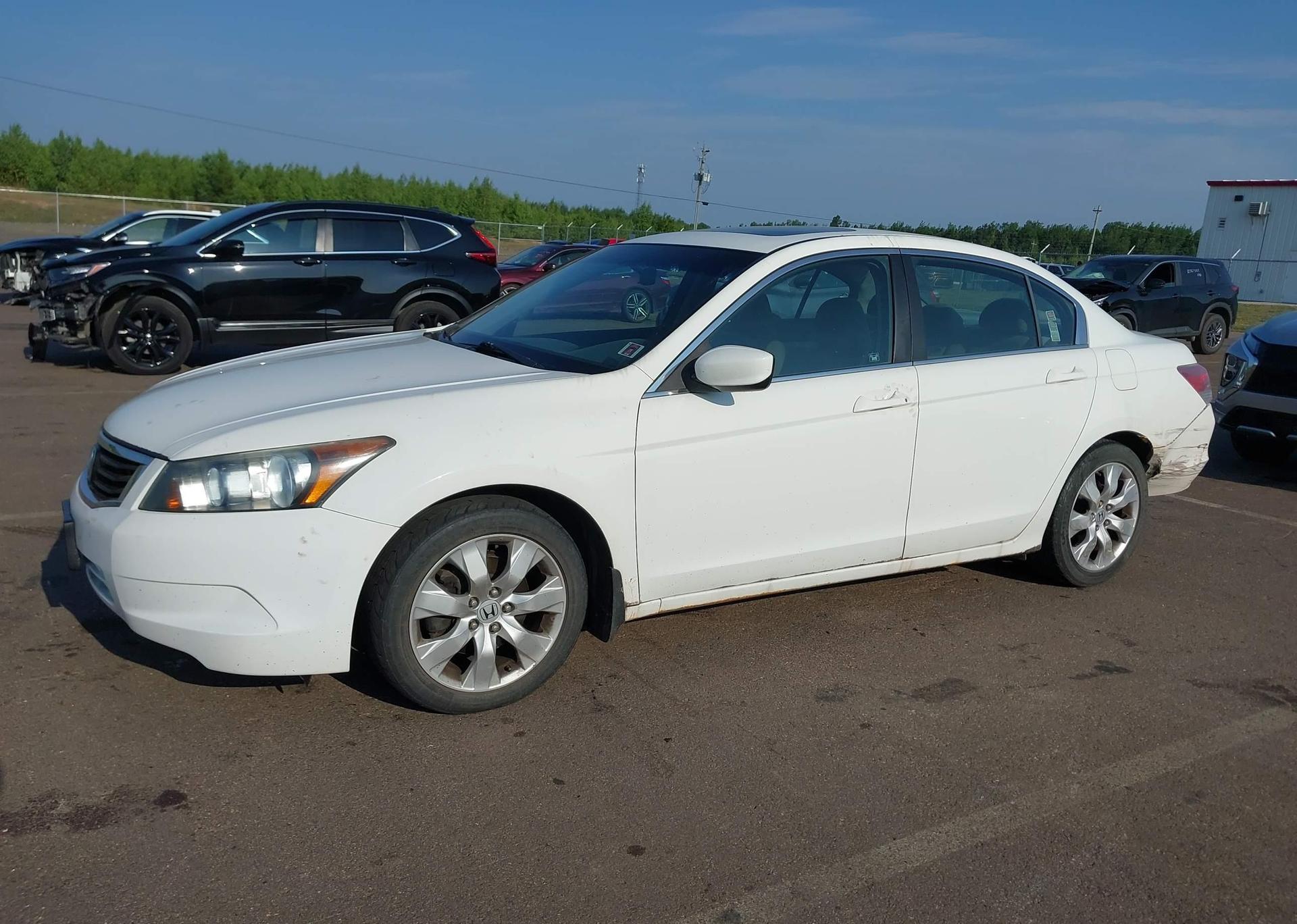 2010 HONDA ACCORD EX