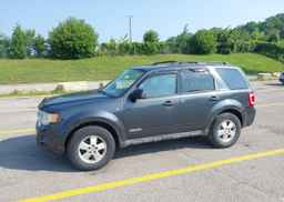 2008 FORD ESCAPE XLT