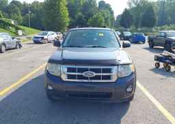 2008 FORD ESCAPE XLT