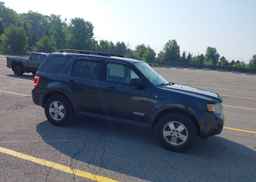 2008 FORD ESCAPE XLT