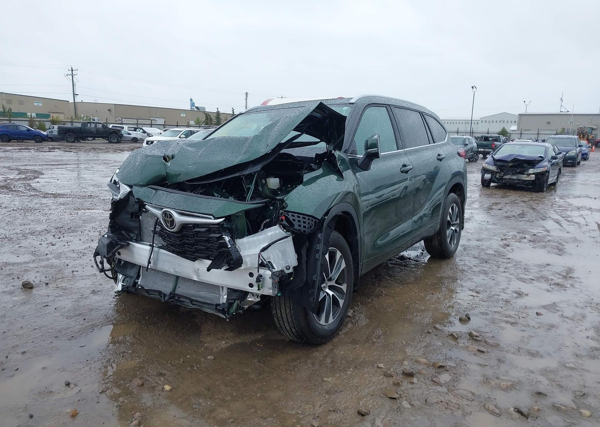 2025 TOYOTA highlander xle