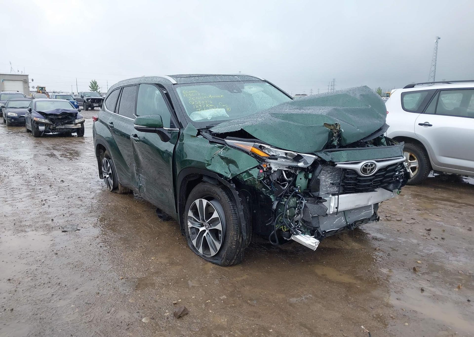 2025 TOYOTA highlander xle