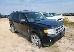 2010 FORD ESCAPE XLT