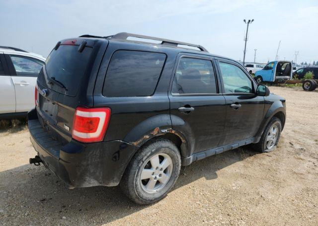 2010 FORD ESCAPE XLT