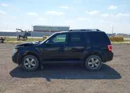 2011 FORD ESCAPE LIMITED