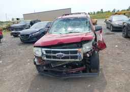 2010 FORD ESCAPE XLT AUTOMATIC