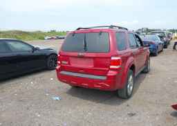 2010 FORD ESCAPE XLT AUTOMATIC