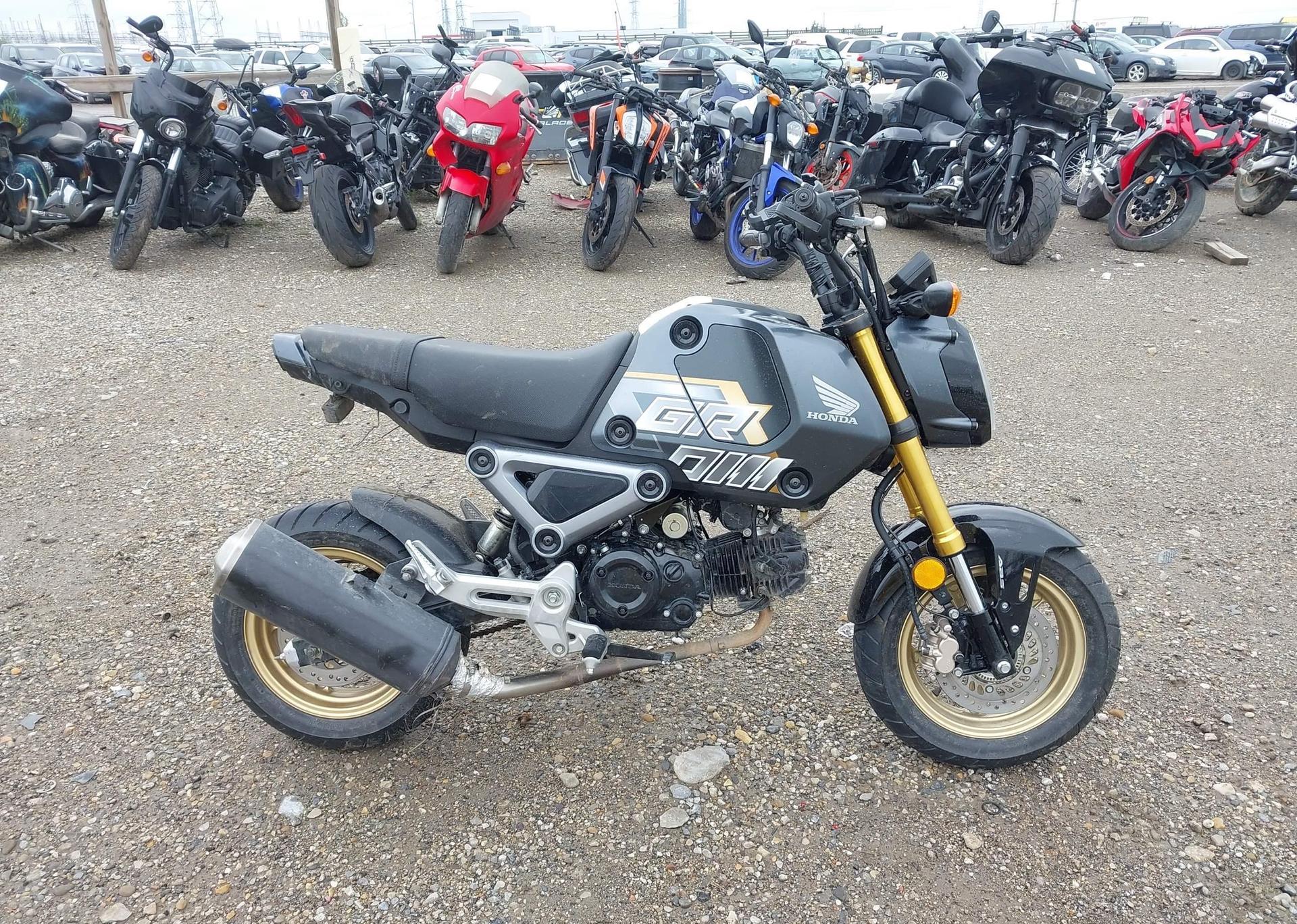 2024 HONDA GROM A