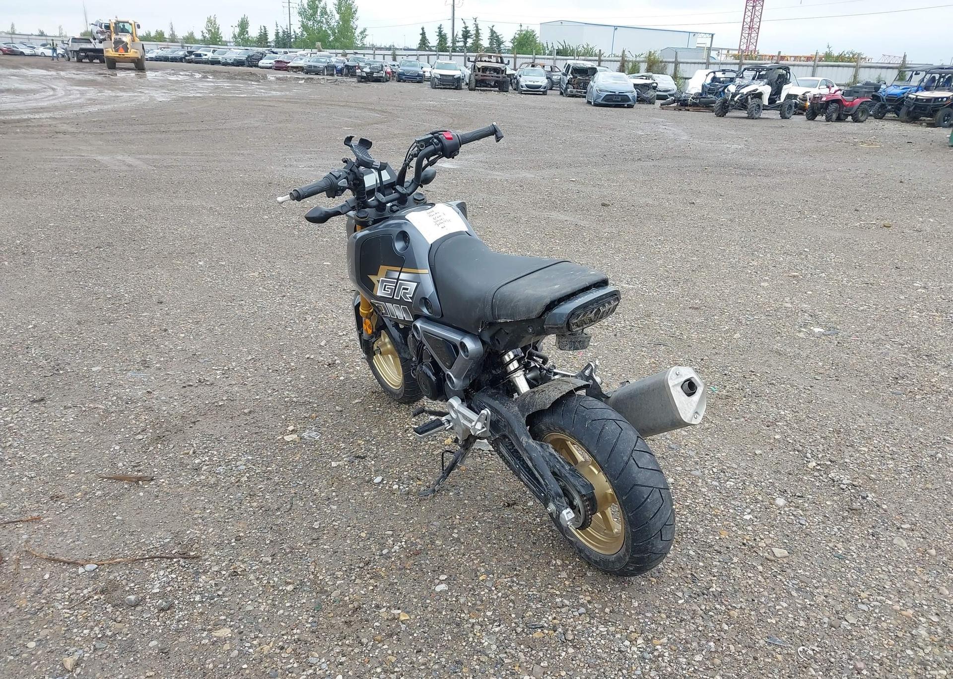 2024 HONDA GROM A