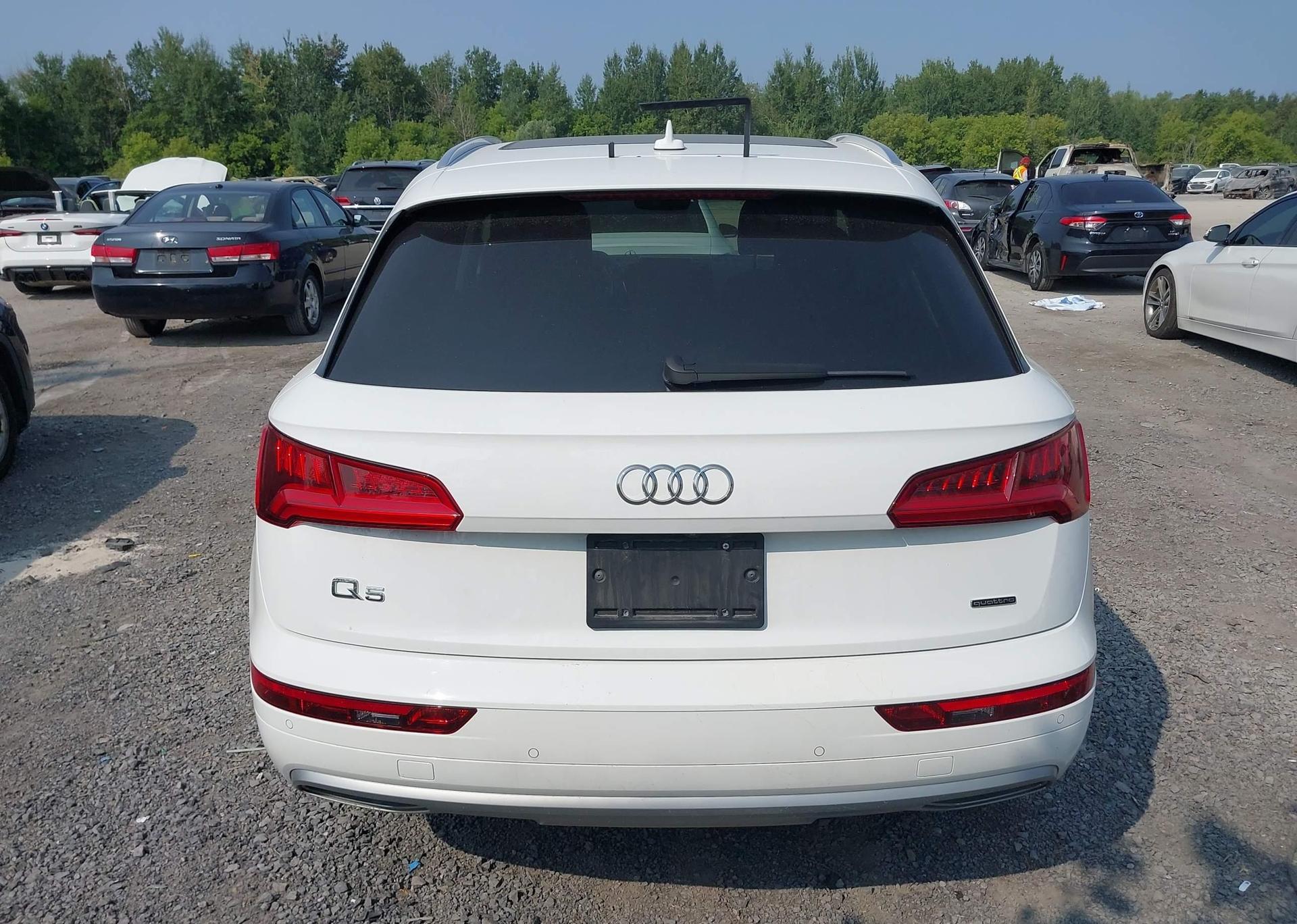 2019 AUDI Q5 45 PROGRESSIV