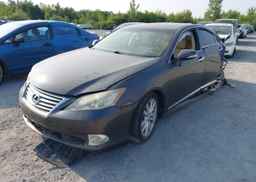 2010 LEXUS ES350