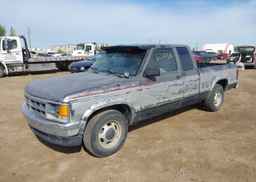 1991 DODGE DAKOTA