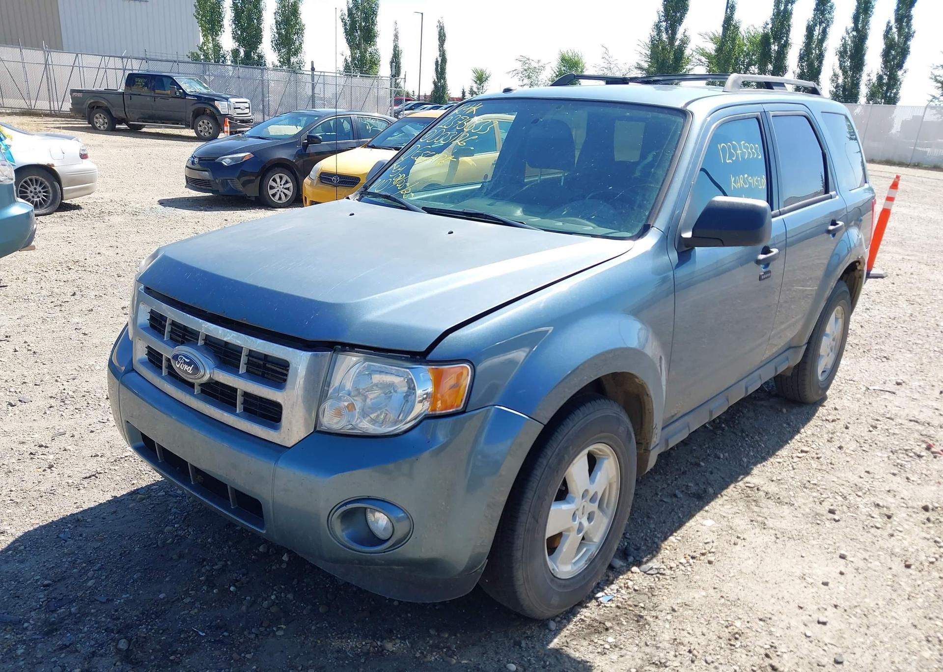 2010 FORD ESCAPE XLT