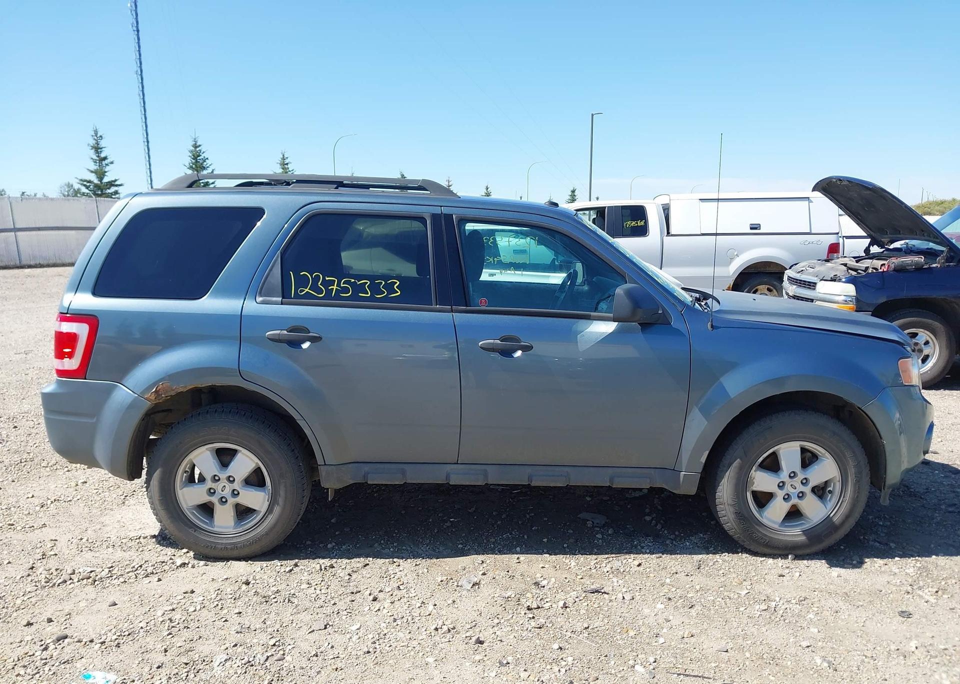2010 FORD ESCAPE XLT