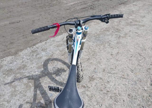 2013 GIANT GLORY BIKE