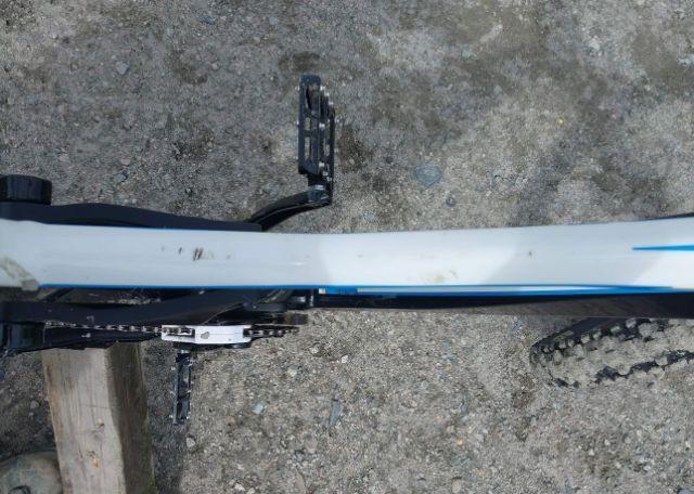 2013 GIANT GLORY BIKE