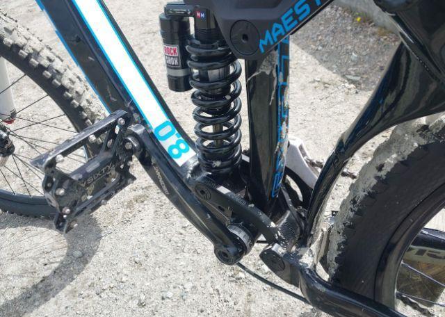 2013 GIANT GLORY BIKE