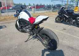 2024 DUCATI MONSTER