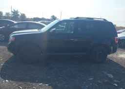 2010 FORD ESCAPE XLT