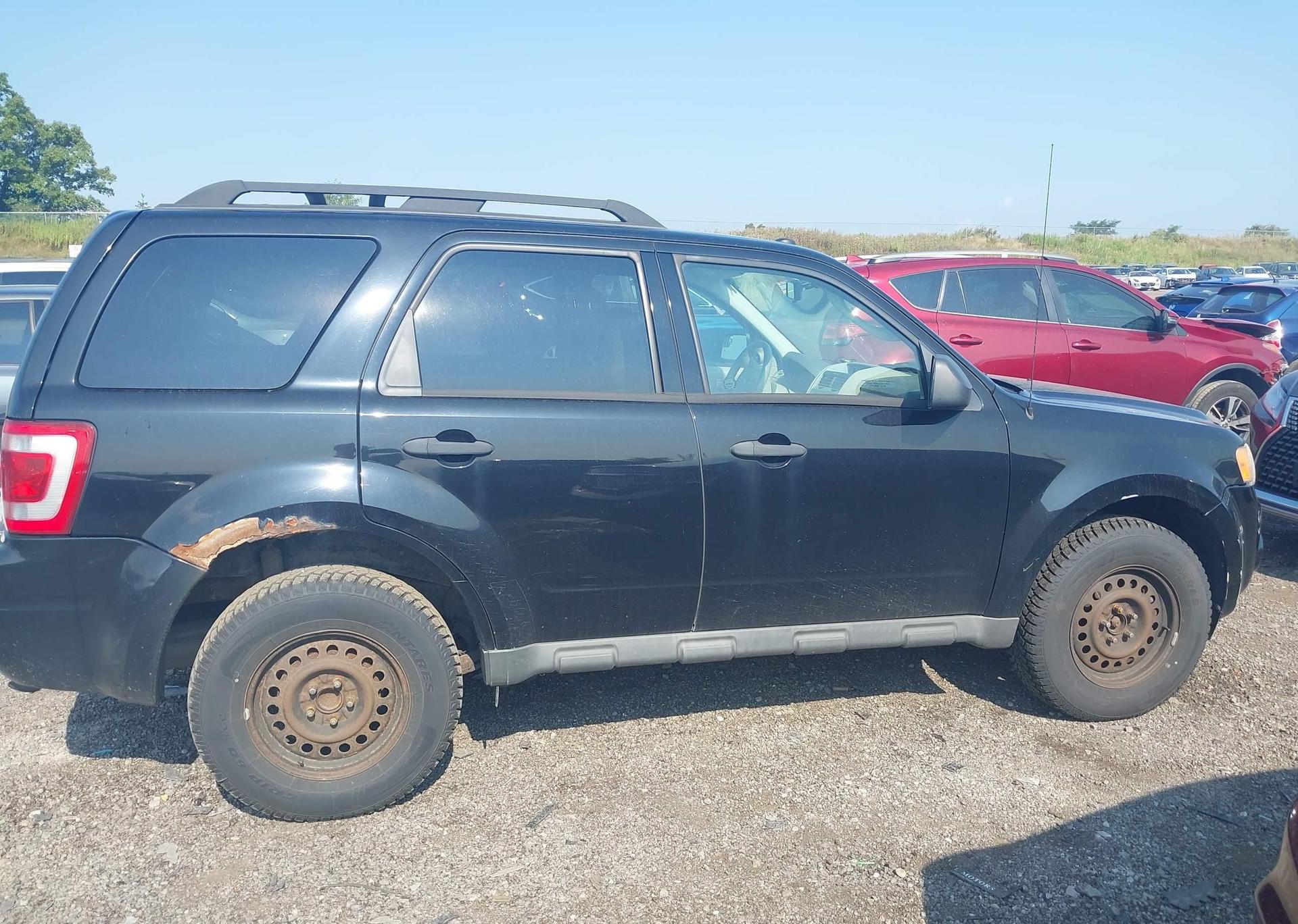 2010 FORD ESCAPE XLT