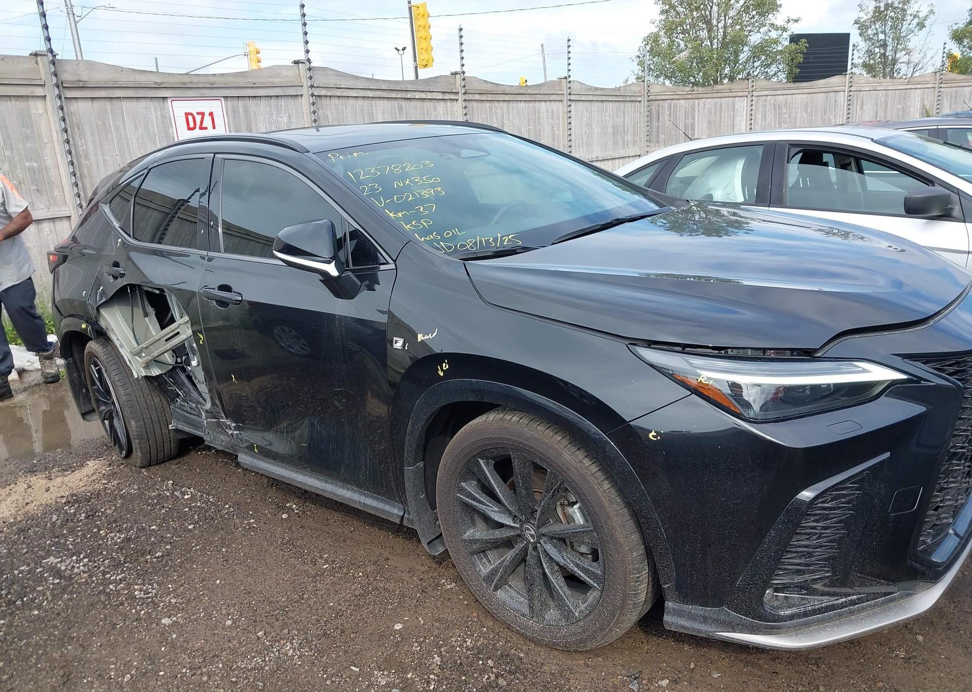 2023 LEXUS NX 350