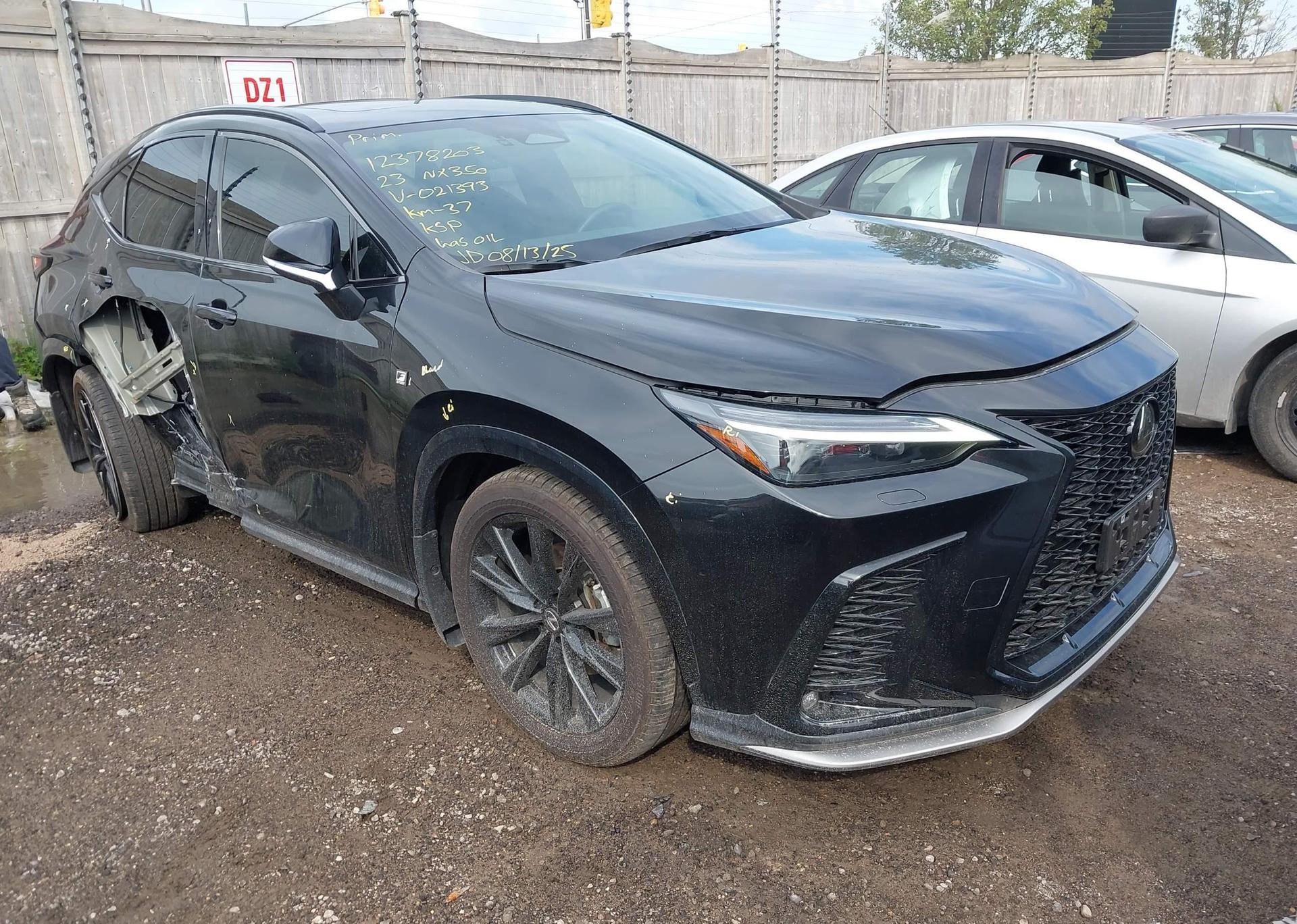 2023 LEXUS NX 350