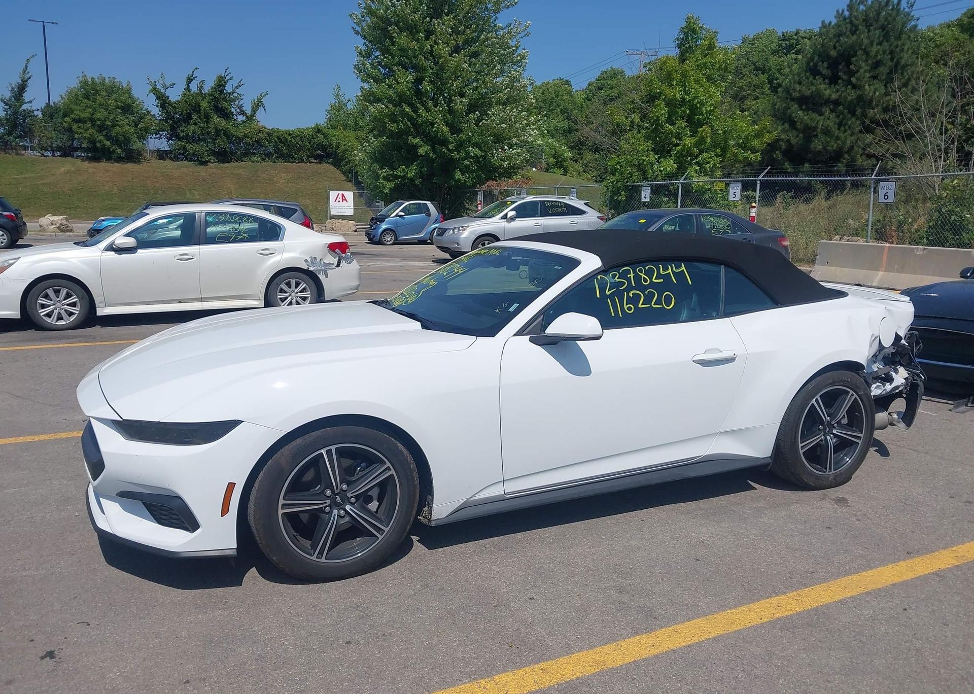 2025 FORD MUSTANG