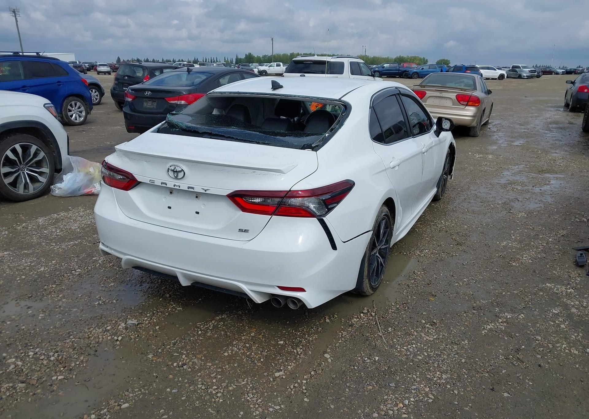 2023 TOYOTA CAMRY SE