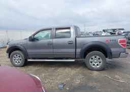 2010 FORD F150 SUPERCREW