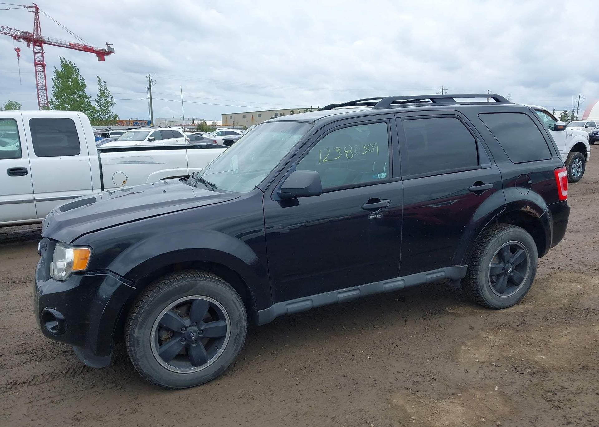 2010 FORD ESCAPE XLT